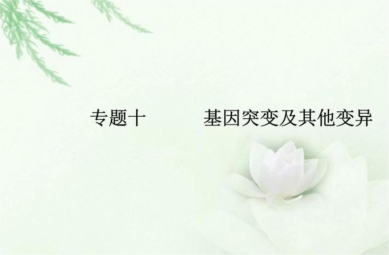 高中生物学业水平合格性考试专题十基因突变及其他变异课件01