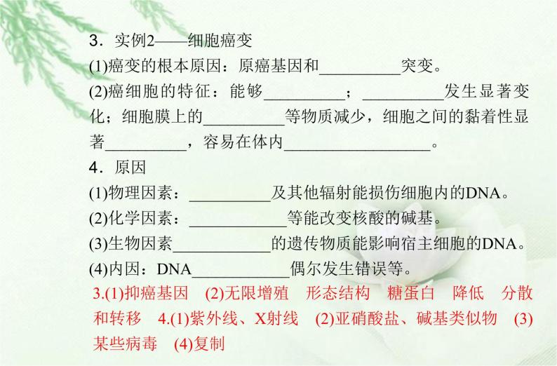 高中生物学业水平合格性考试专题十基因突变及其他变异课件04