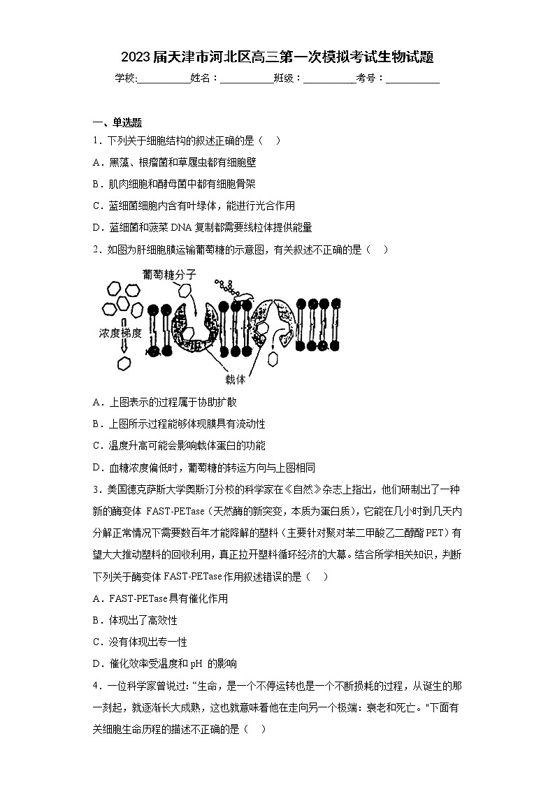 2023届天津市河北区高三第一次模拟考试生物试题(含答案)01