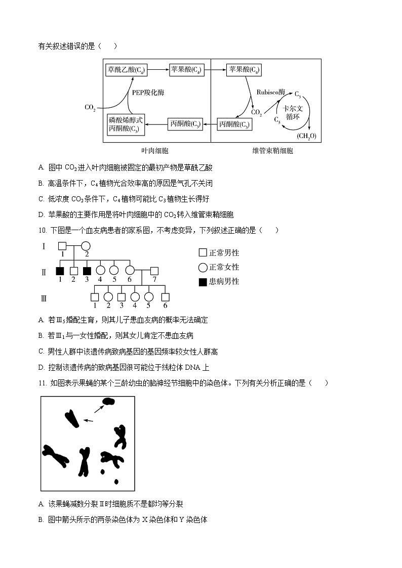 安徽省卓越县中联盟2022-2023学年高三上学期开学考试-生物试题第3页