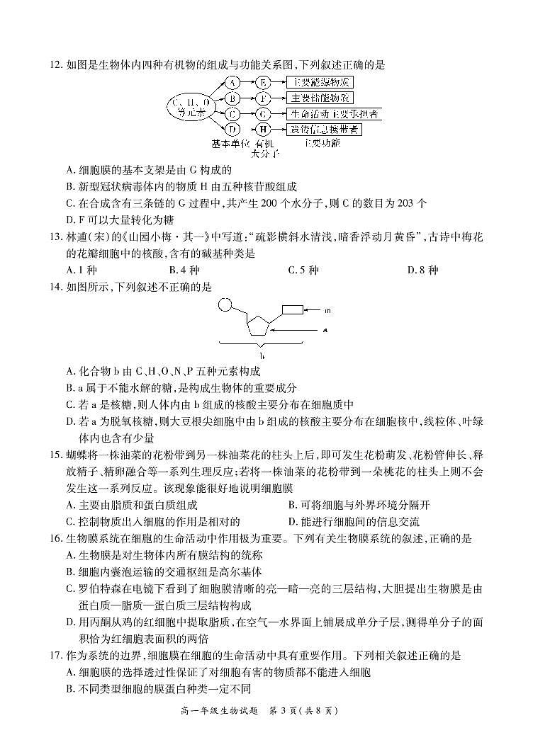 2022-2023学年河南省南阳市六校高一第二次联考(月考)生物试题PDF版含答案第3页