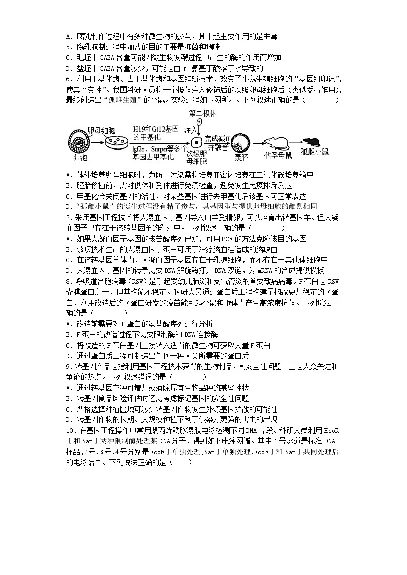 2023邵阳二中高二下学期期中考试生物试题含解析第2页