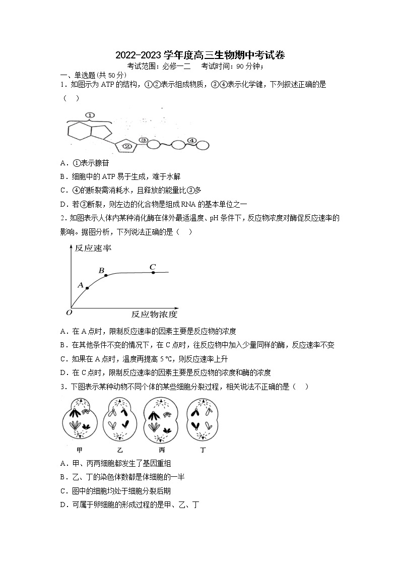 山西省阳泉市第一中学2022-2023学年高三生物上学期11月期中试题（Word版附答案）01