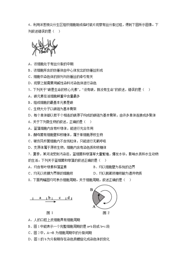 山西省阳泉市第一中学2022-2023学年高三生物上学期11月期中试题（Word版附答案）02