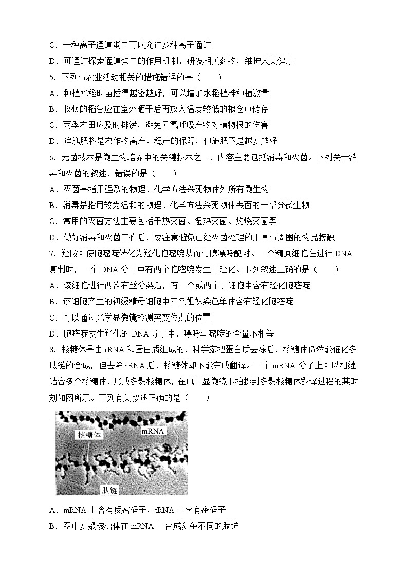 湖北省2023届高三生物考前冲刺训练试卷(Word版附答案)第2页