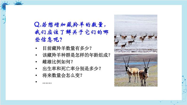浙科版高中生物选择性必修第二册·第一章- 第一节 种群具有一定的特征(课件PPT)第4页