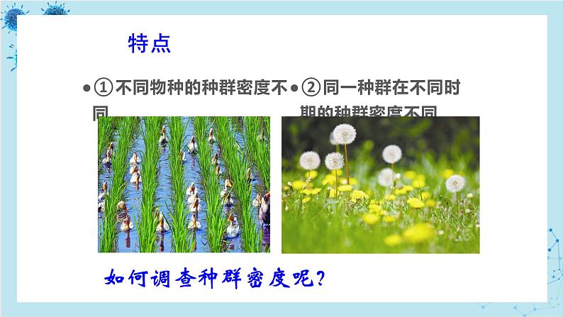 浙科版高中生物选择性必修第二册·第一章- 第一节 种群具有一定的特征(课件PPT)第7页