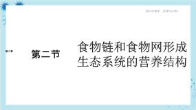 浙科版高中生物选择性必修第二册·第三章- 第二节 食物链和食物网形成生态系统的营养结构（课件PPT）