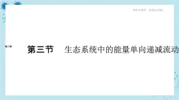 浙科版高中生物选择性必修第二册·第三章- 第三节 生态系统中的能量单向递减流动（课件PPT）