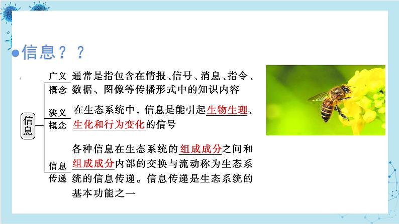 浙科版高中生物选择性必修第二册·第三章- 第五节 生态系统中存在信息传递(课件PPT)第3页