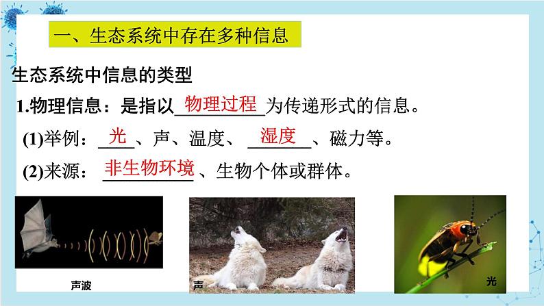 浙科版高中生物选择性必修第二册·第三章- 第五节 生态系统中存在信息传递(课件PPT)第5页