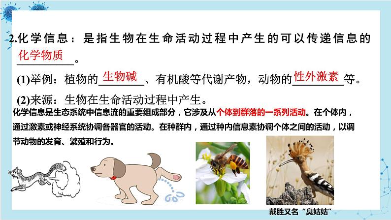 浙科版高中生物选择性必修第二册·第三章- 第五节 生态系统中存在信息传递(课件PPT)第6页