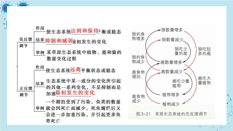 浙科版高中生物选择性必修第二册·第三章- 第六节 生态系统中通过自我调节维持稳态（课件PPT）05