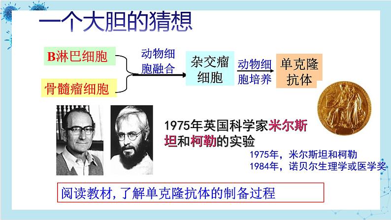 浙科版高中生物选择性必修第三册·第三章- 第三节 通过细胞融合可产生具有新特性的细胞(课件PPT)第8页