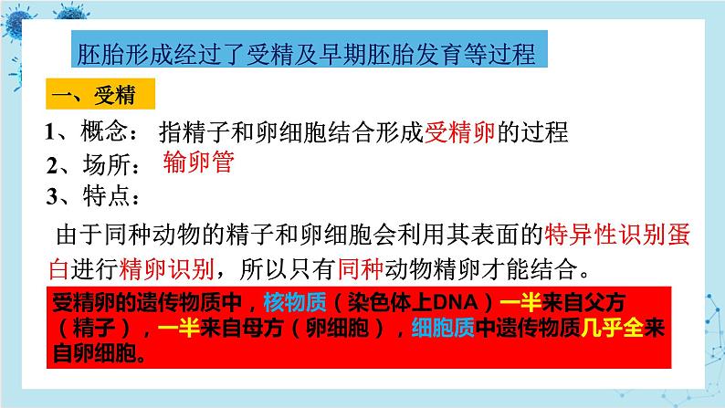 浙科版高中生物选择性必修第三册·第三章- 第四节 课时1 对动物早期胚胎或配子进行处理可获得目标个体(课件PPT)04
