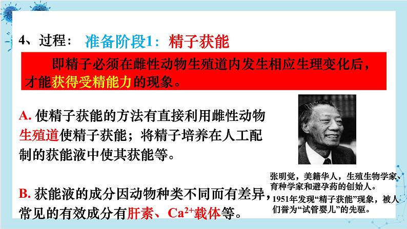浙科版高中生物选择性必修第三册·第三章- 第四节 课时1 对动物早期胚胎或配子进行处理可获得目标个体(课件PPT)05