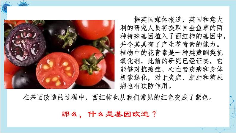 浙科版高中生物选择性必修第三册·第四章- 第一节 课时1 基因工程赋予生物新的遗传特性(课件PPT)02