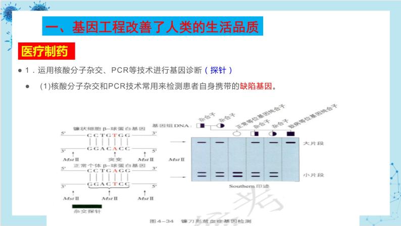 浙科版高中生物选择性必修第三册·第四章- 第二节 基因工程及其延伸技术应用广泛（课件PPT）03