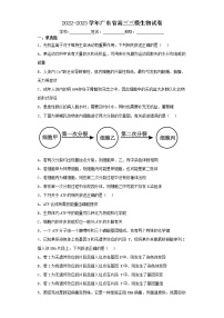 2022-2023学年广东省高三三模生物试卷（含解析）