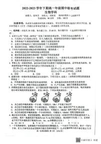 2023郑州十校高一下学期期中联考试题生物PDF版含答案