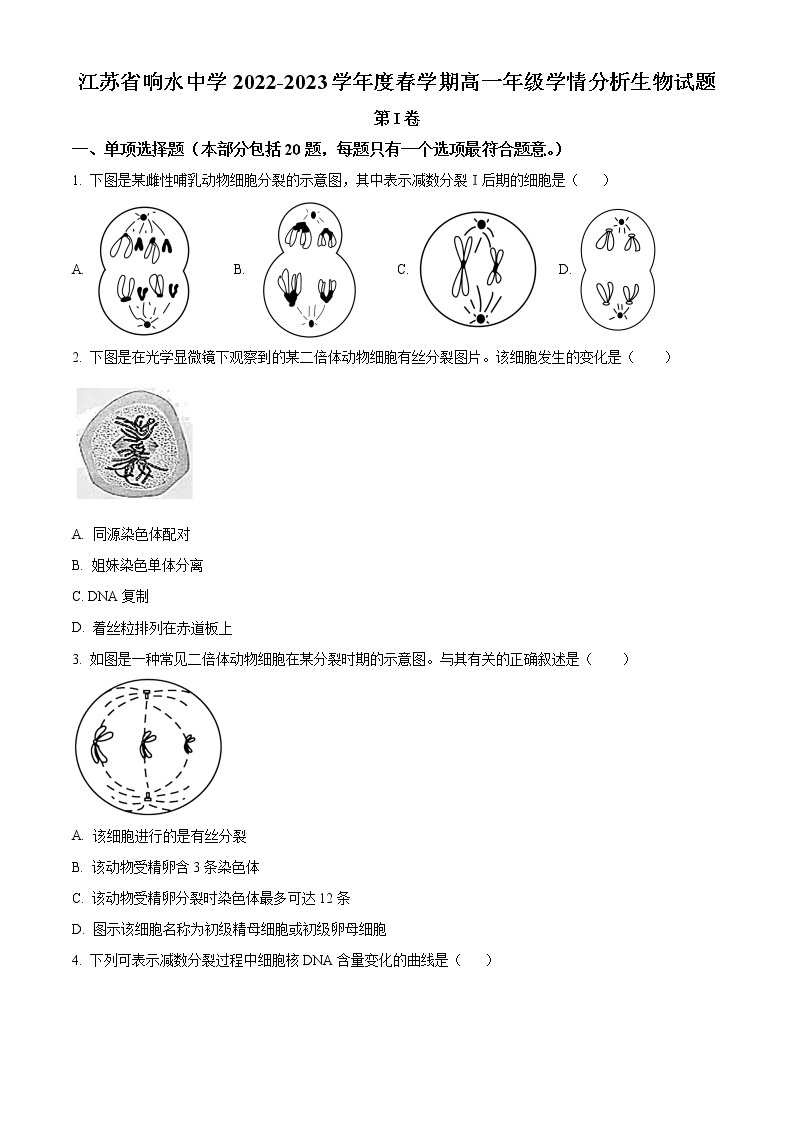 2023江苏省响水中学高一下学期3月学情分析试题生物含解析01