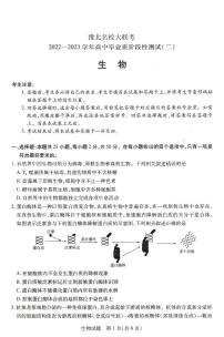 2023届河南省豫北名校大联考高三上学期阶段性测试（二） 生物（PDF版）