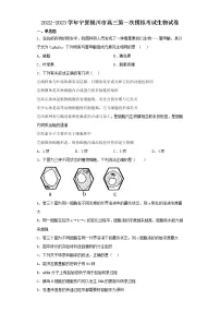 2022-2023学年宁夏银川市高三第一次模拟考试生物试卷(含解析)
