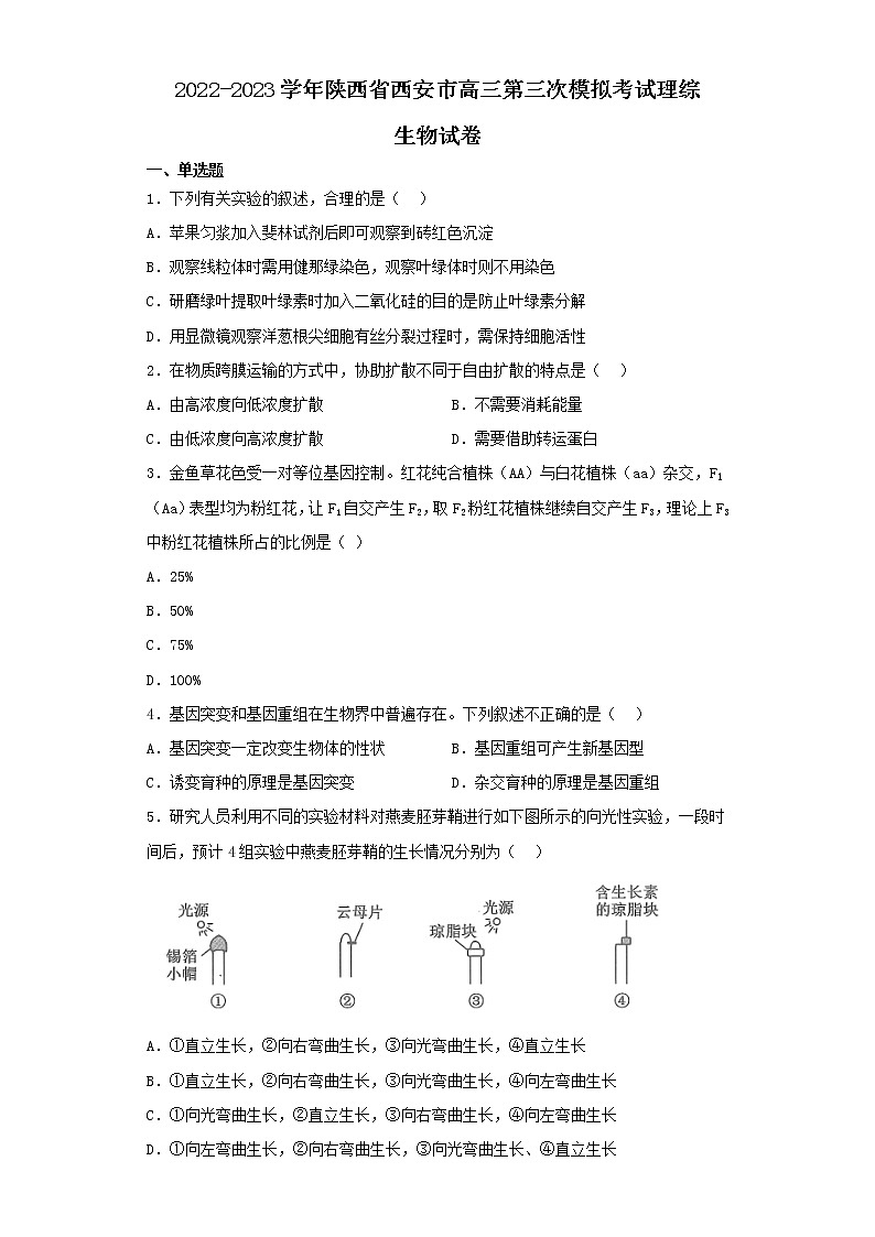 2022-2023学年陕西省西安市高三第三次模拟考试理综生物试卷(含解析)01