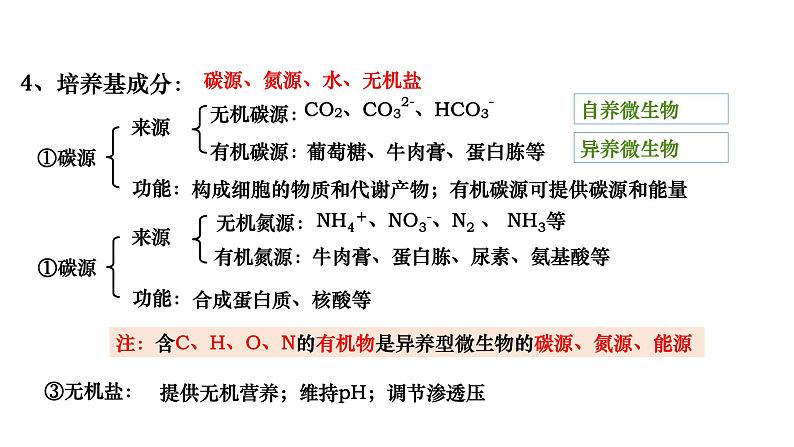 人教版高中生物选择性必修3 1-2-1微生物的基本培养技术课件第7页