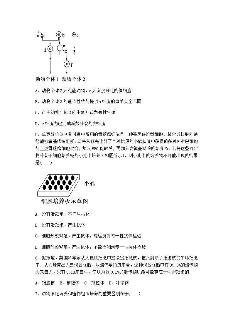 浙科版高中生物选择性必修3第一节细胞培养是动物细胞工程的基础作业4含答案02