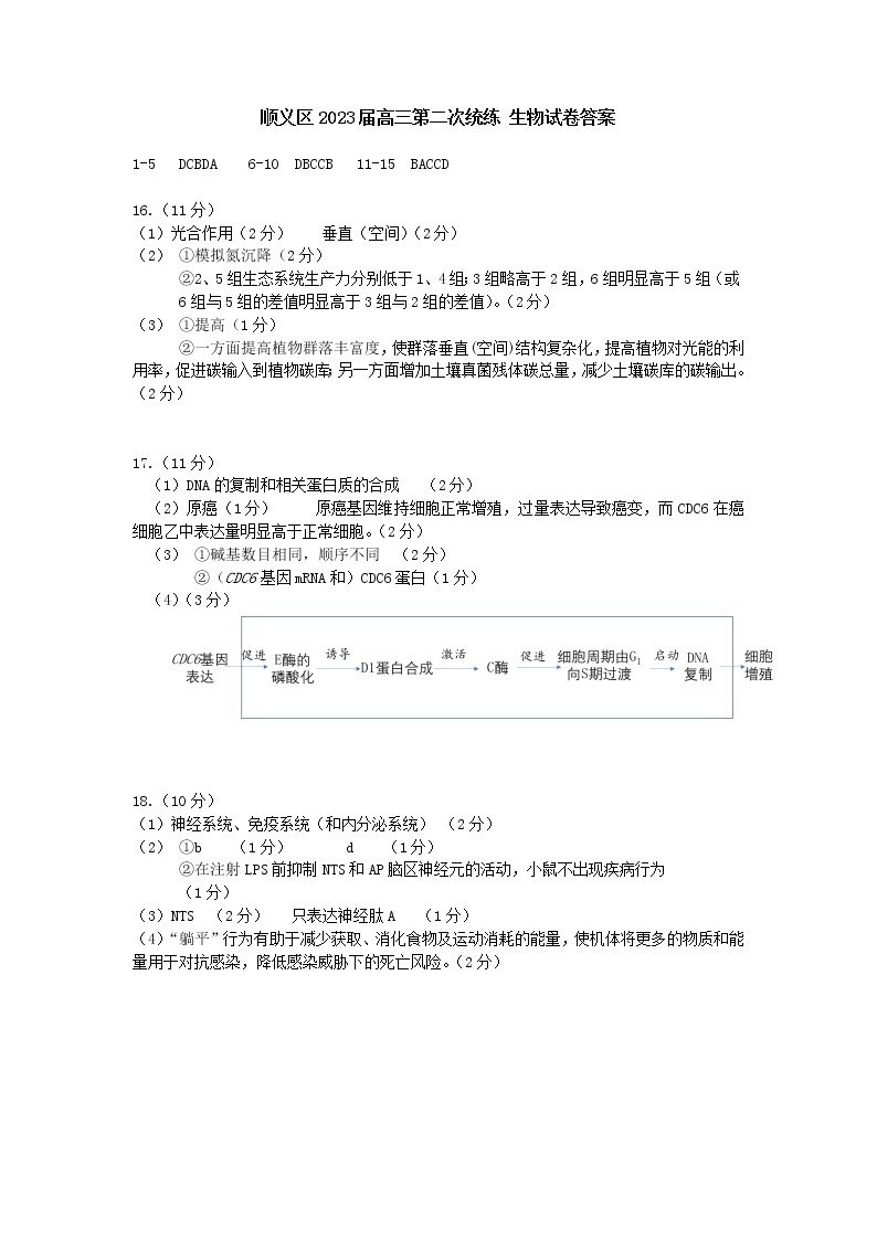 2023北京顺义区高三下学期二模生物试题含答案01