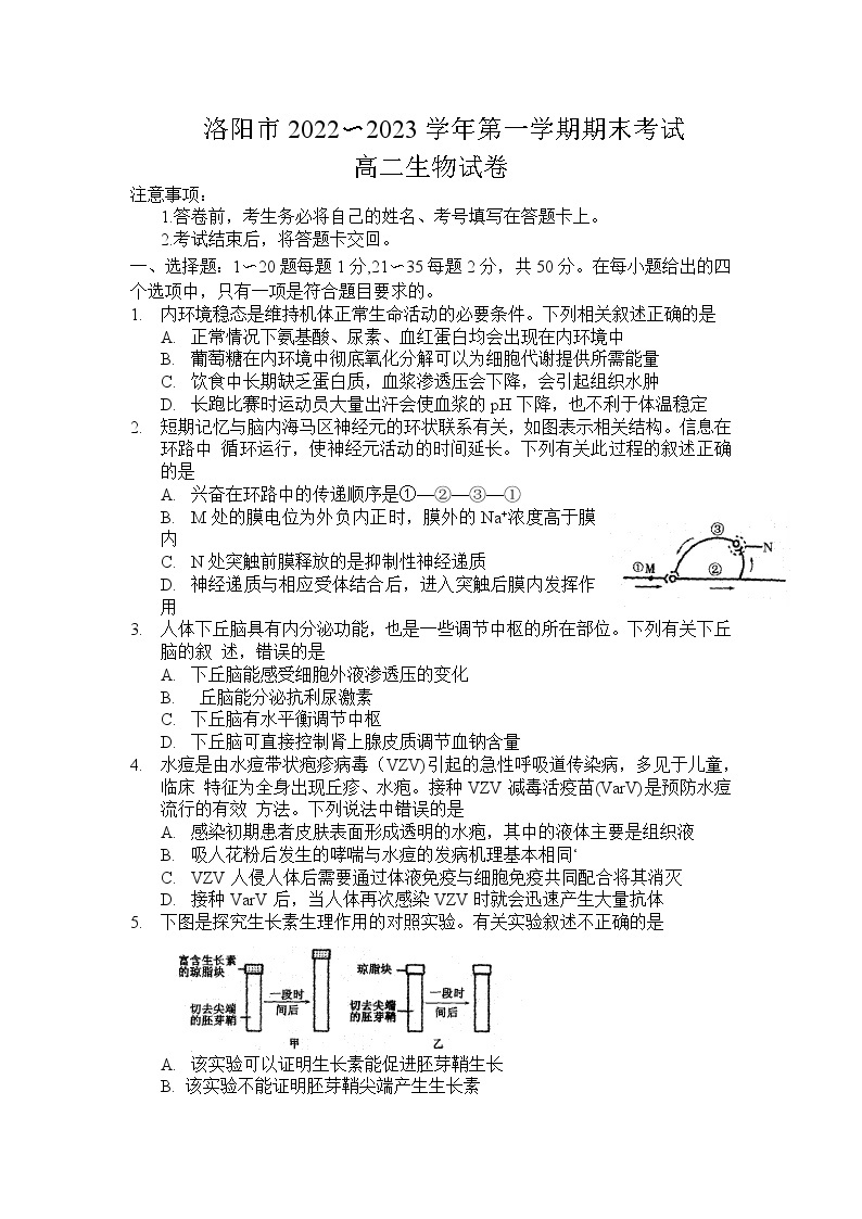 2022-2023学年河南省洛阳市第一学期期末考试高二生物试题含答案01
