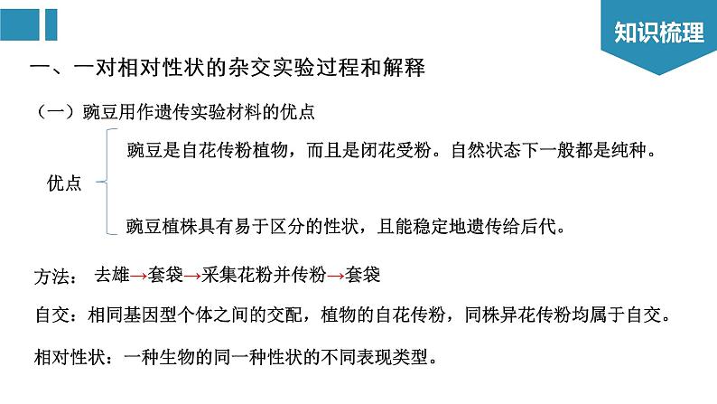 第1章 遗传因子的发现(复习课件)-2022-2023学年高一生物单元复习(人教版2019必修2)第3页
