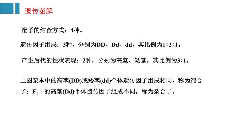 第1章 遗传因子的发现(复习课件)-2022-2023学年高一生物单元复习(人教版2019必修2)第7页