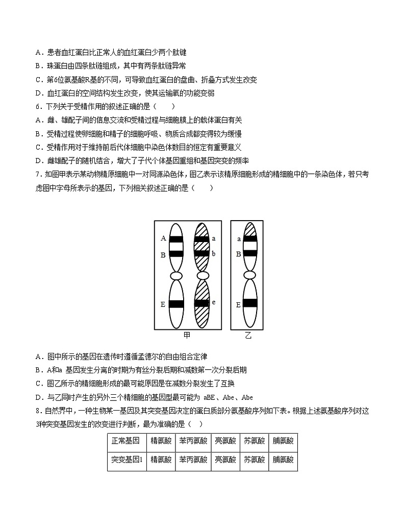 第5章 基因突变及其他变异(测试卷)-2022-2023学年高一生物单元复习过过过(人教版2019必修2)(原卷版)第2页