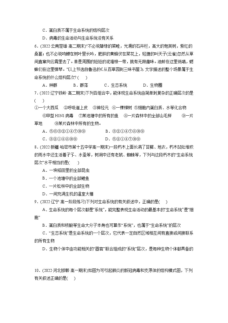 第1章 走近细胞(B卷·能力提升练)-【单元测试】高一生物分层训练AB卷(2019人教版必修1)02