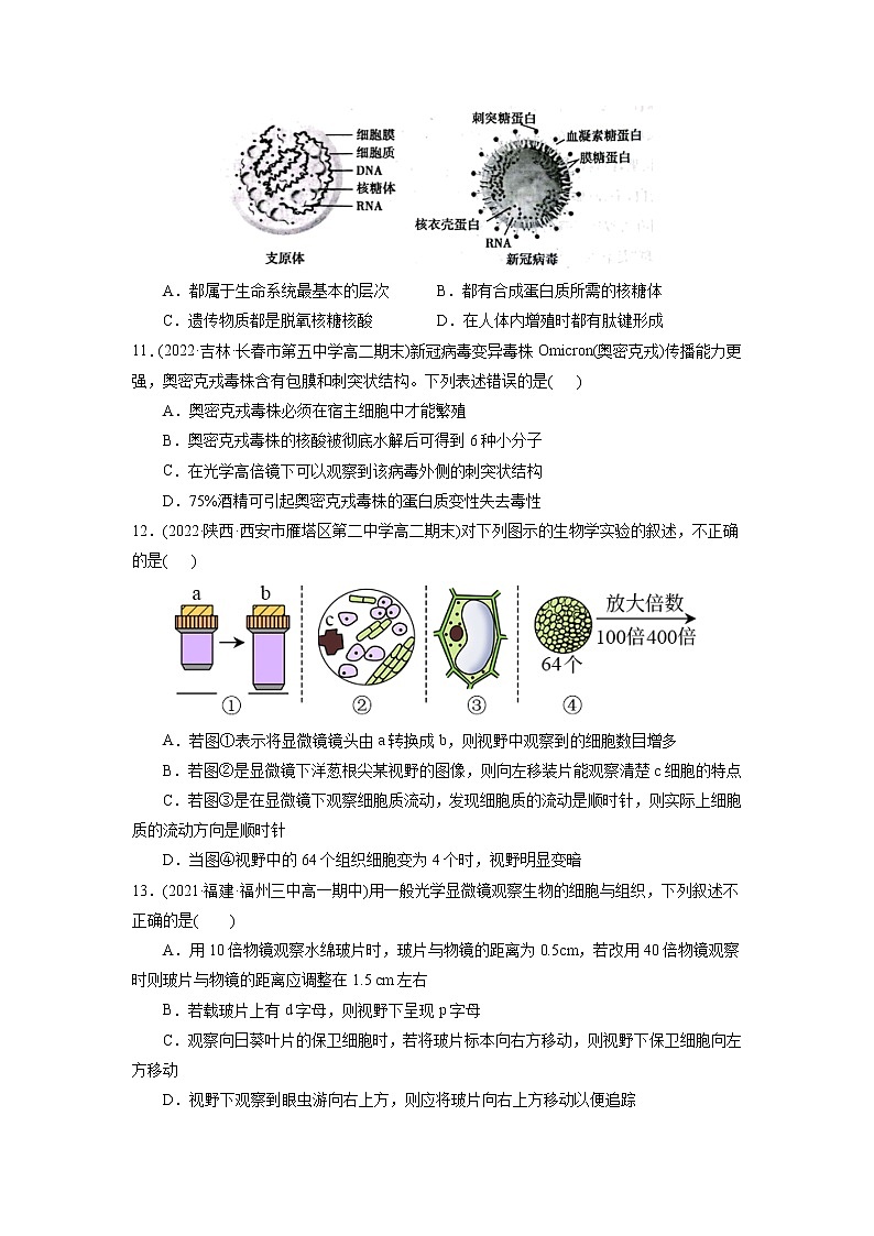 第1章 走近细胞(B卷·能力提升练)-【单元测试】高一生物分层训练AB卷(2019人教版必修1)03
