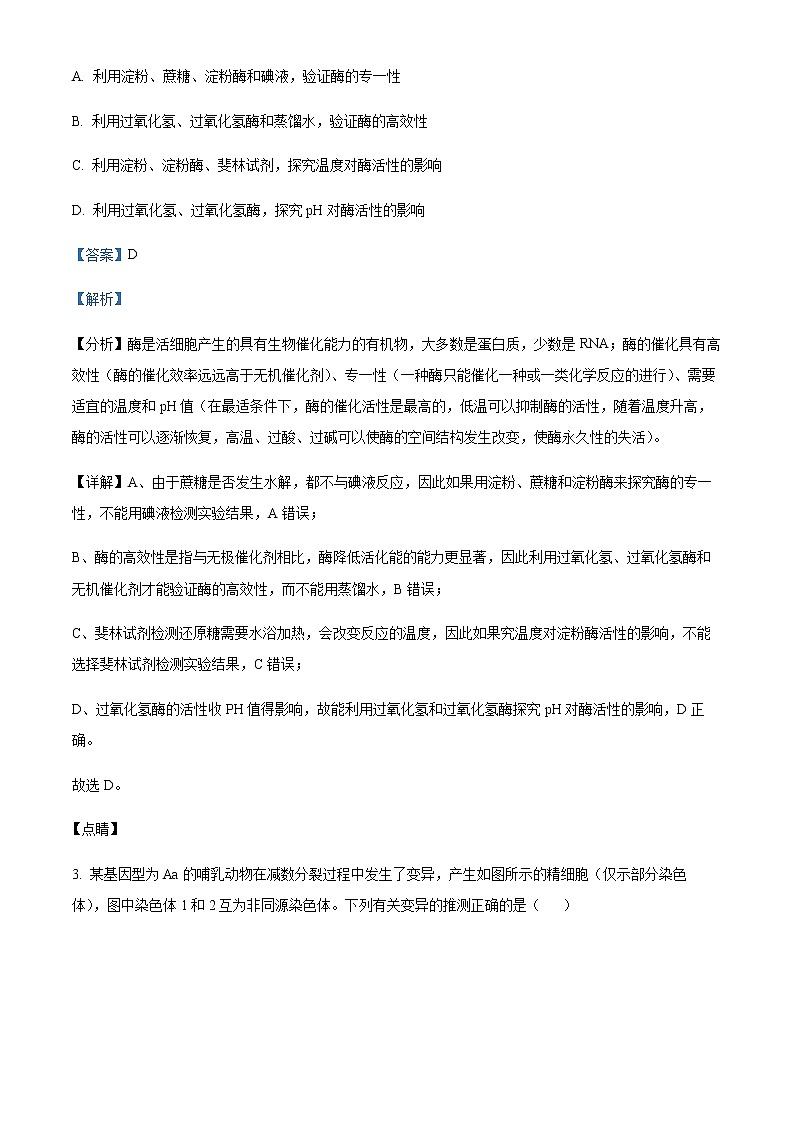 2022-2023学年安徽省宣城市高三下学期二模生物试题含解析02