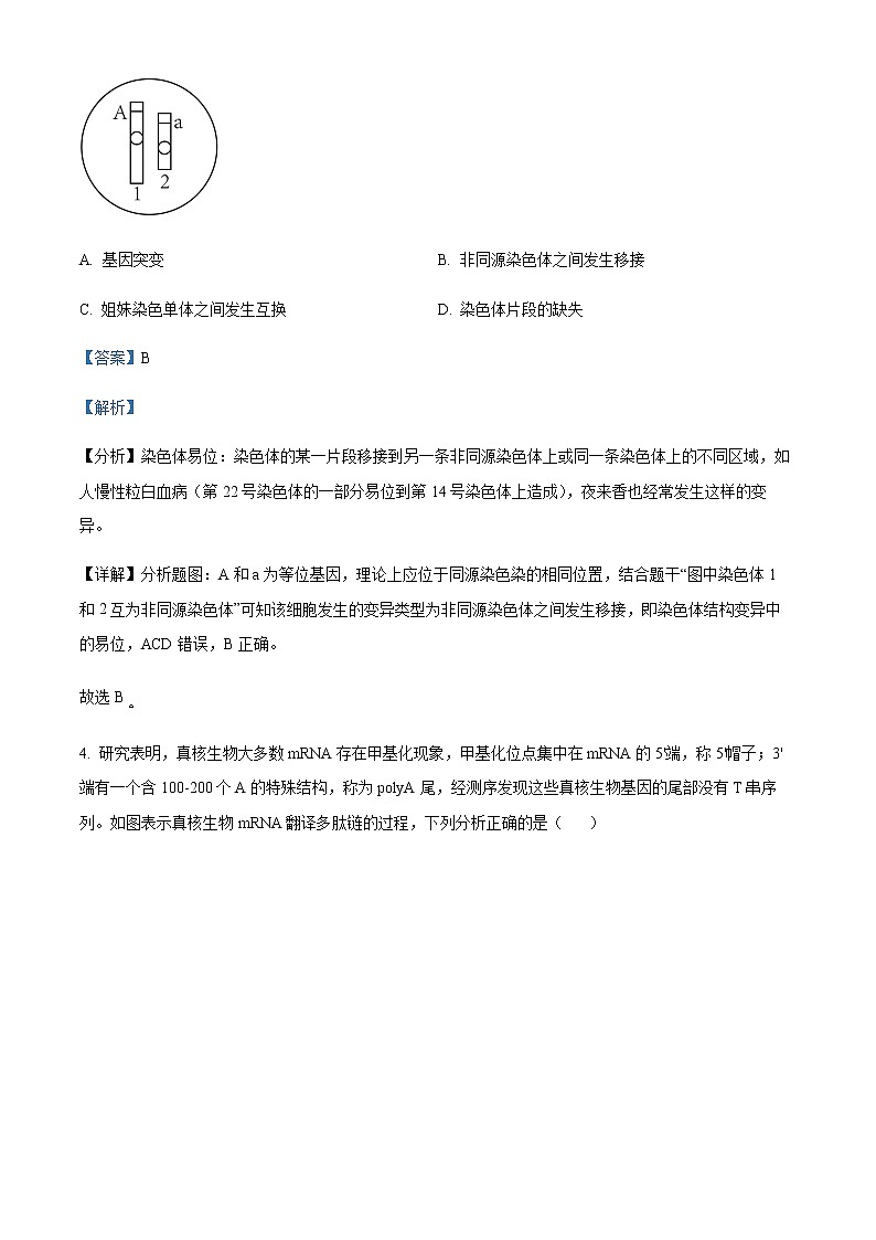 2022-2023学年安徽省宣城市高三下学期二模生物试题含解析03