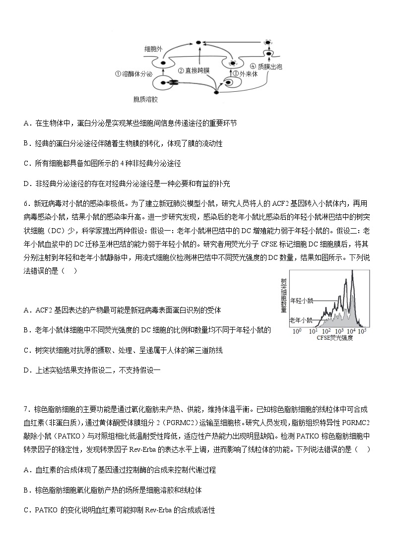 2022-2023学年辽宁省沈阳市东北育才学校高三下学期适应性测试（三）（三模）生物含答案03