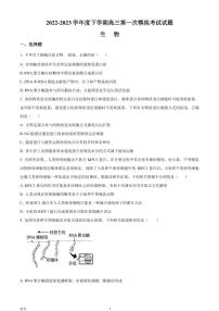 2022-2023学年辽宁省协作校高三下学期第一次模拟考试生物PDF版含答案