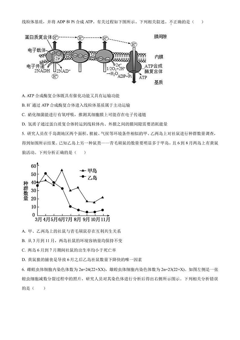 2022-2023学年天津市河西区高三下学期总复习质量调查(一)生物试题PDF版含答案第2页