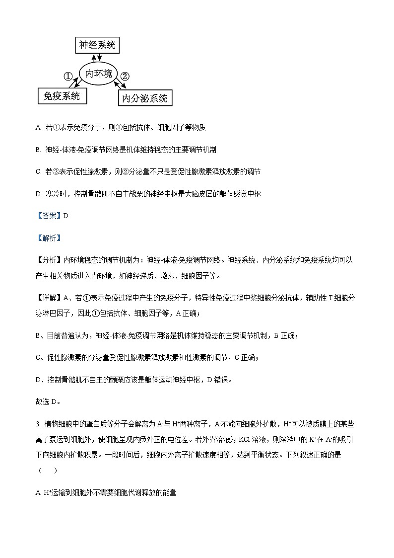 2022届四川省成都市外国语学校高三第二次诊断性考试生物试题 Word版含解析第2页