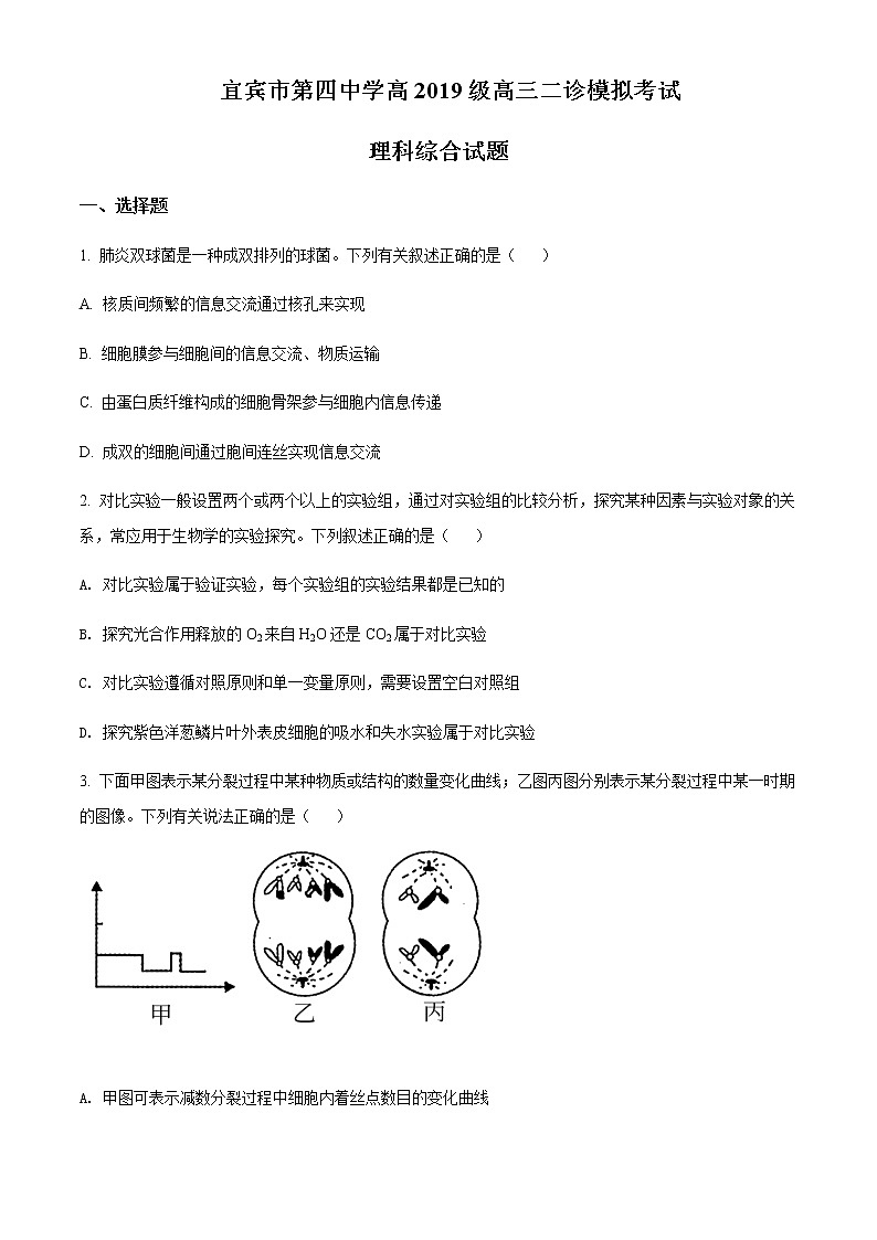 2022屆四川省宜賓市四中高三二診模擬考試?yán)砭C生物試題 Word版無(wú)答案第1頁(yè)