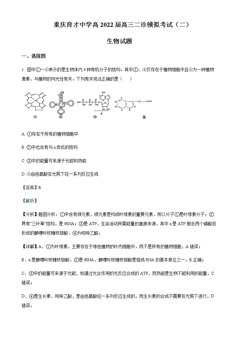 2022屆重慶市育才中學(xué)高三二診模擬考試(二)生物試題含解析第1頁
