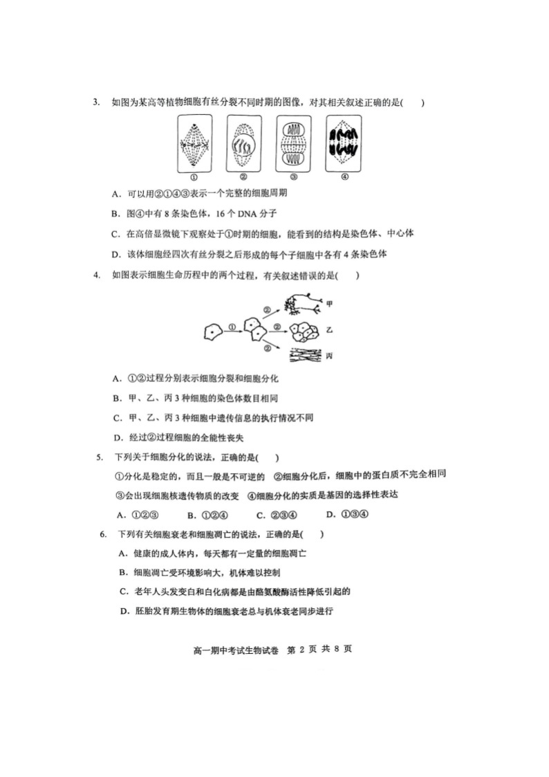 2023湖北省部分普通高中联盟高一下学期期中联考生物试卷图片版含答案02