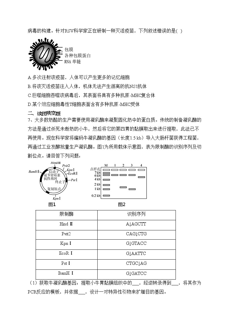 安徽省定远中学2023届高三下学期第一次模拟检测生物试卷(含答案)第3页