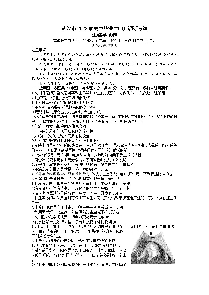 湖北省武汉市2022-2023学年高三下学期4月调研考试生物试卷Word版含答案01