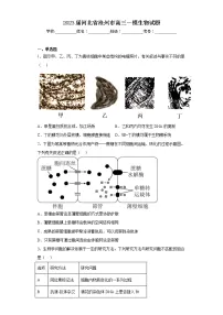 2023届河北省沧州市高三一模生物试题（含答案）