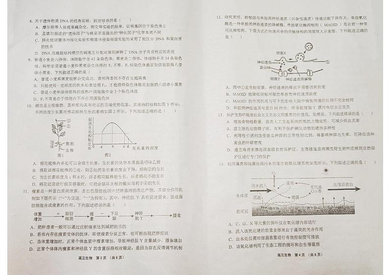 2023中学、海口一中、文昌中学、嘉积中学高三下学期四校联考试题生物PDF版含答案02